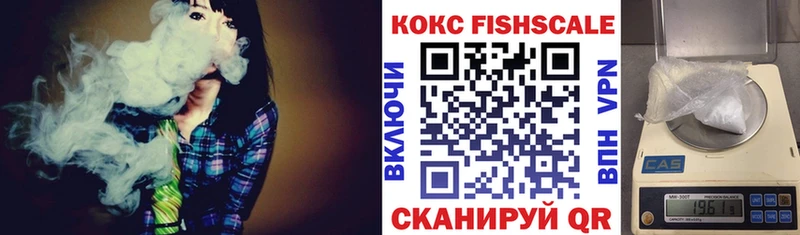 Кокаин FishScale  где купить наркотик  Пласт 