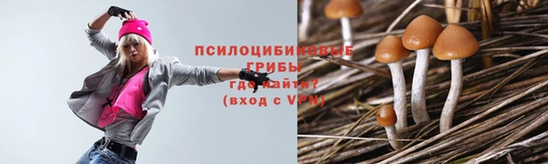 ПСИЛОЦИБИНОВЫЕ ГРИБЫ Усмань